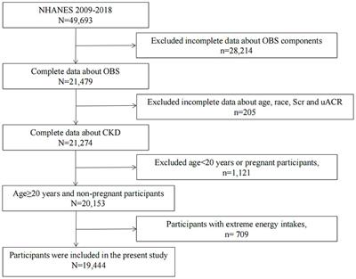 Association of the oxidative balance score and chronic kidney disease: insights from the national health and nutrition examination survey 2009–2018